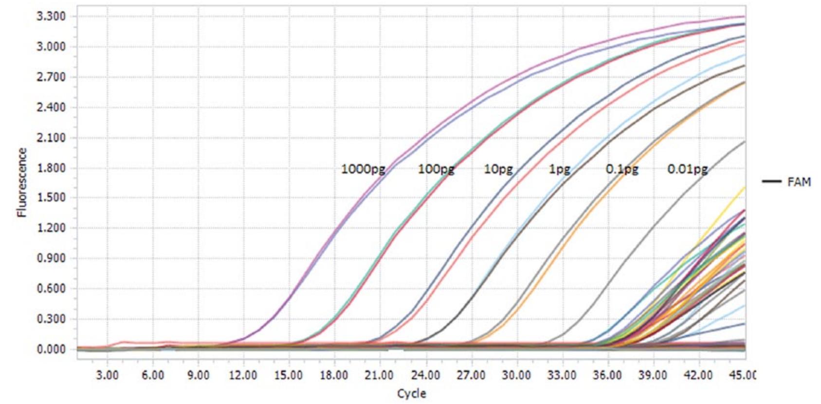 (PDF) Development and validation of a real-time PCR assay for the ...