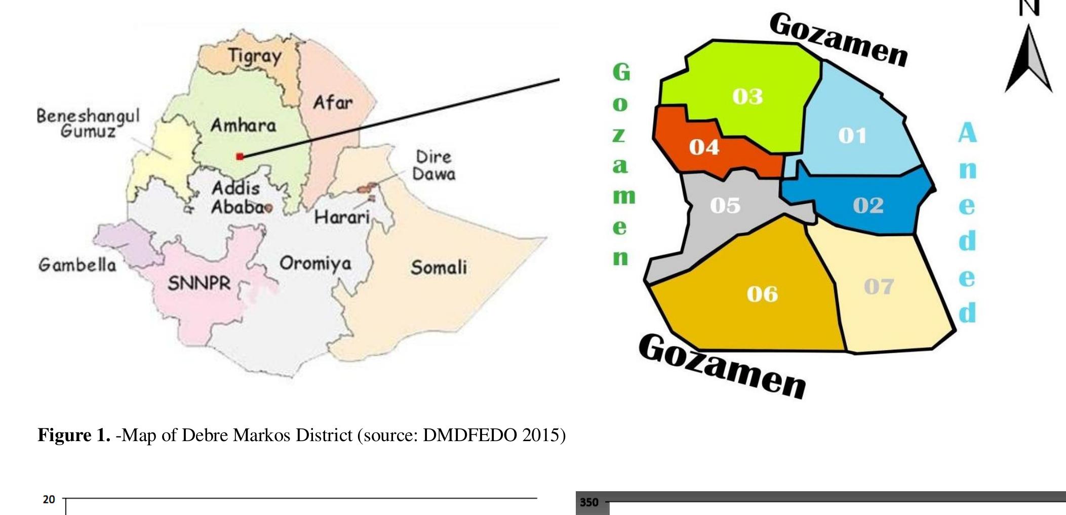 (PDF) Functional food plants in Debre Markos district, East Gojjam ...