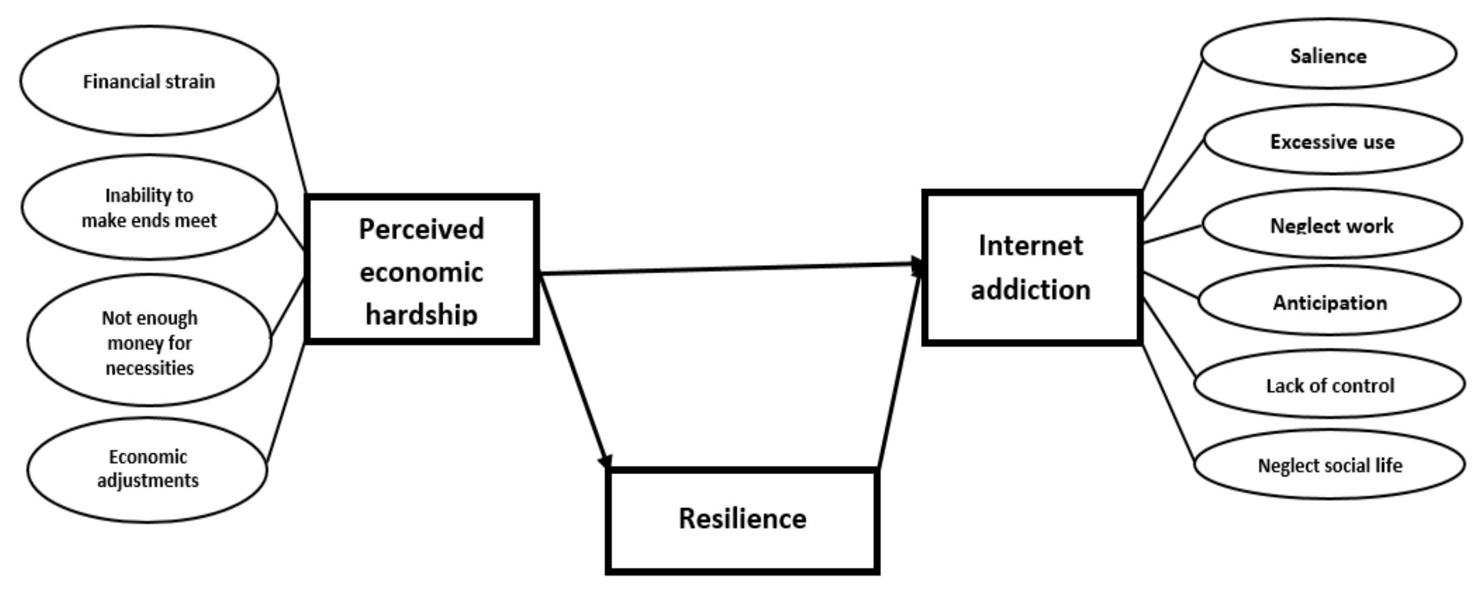 Hypothetical structural model of the network of
