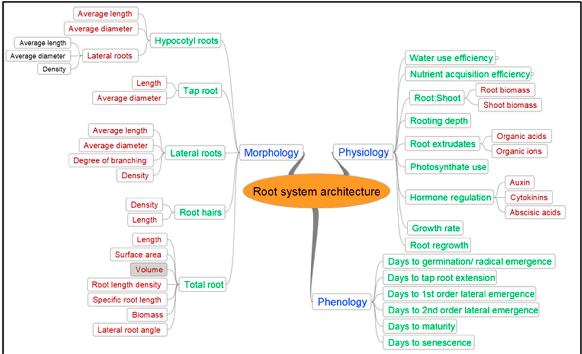 Spheres of root system architecture highlighting