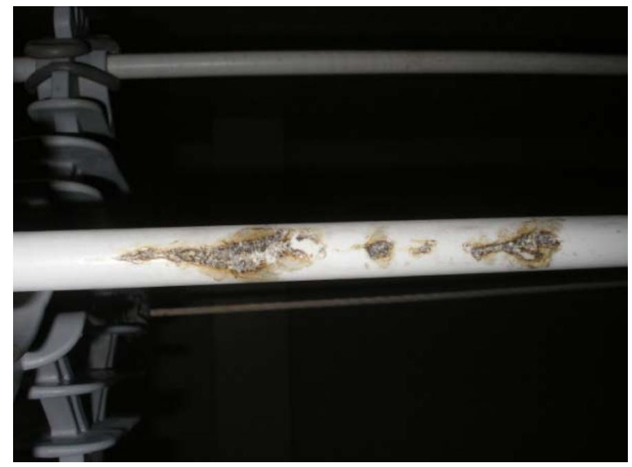 Figure 3. Common damages developed along a covered conductor tested according to Brazilian recommendations [20]. 