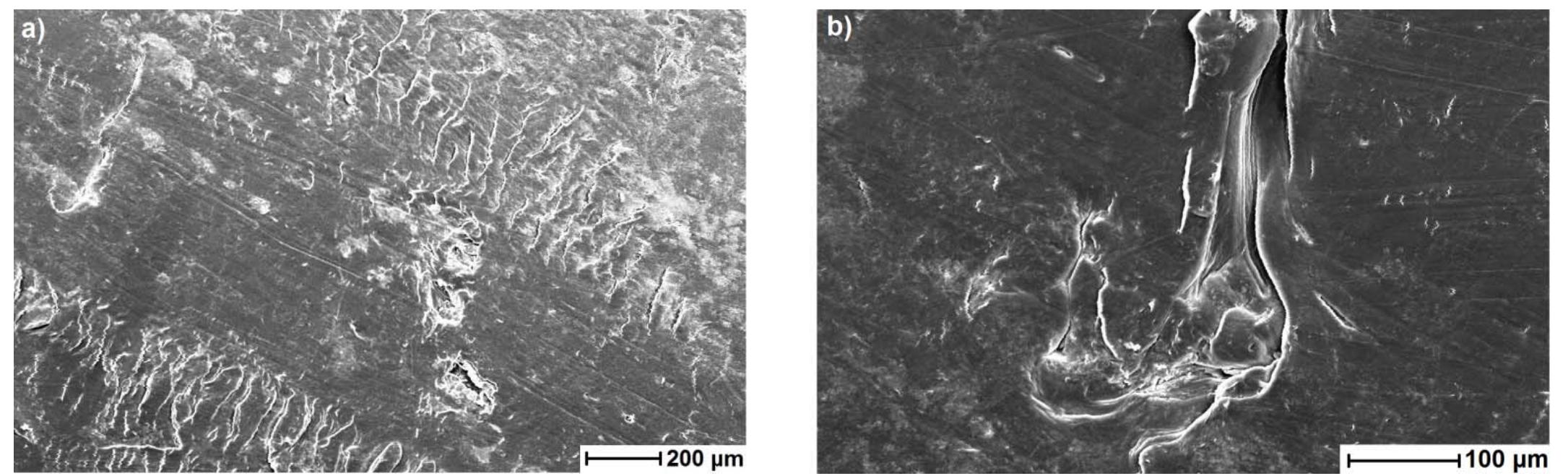 Figure 18. Scanning electron microscopy of commercial XLPE insulation: Cable I (a) unaged (b) aged. 