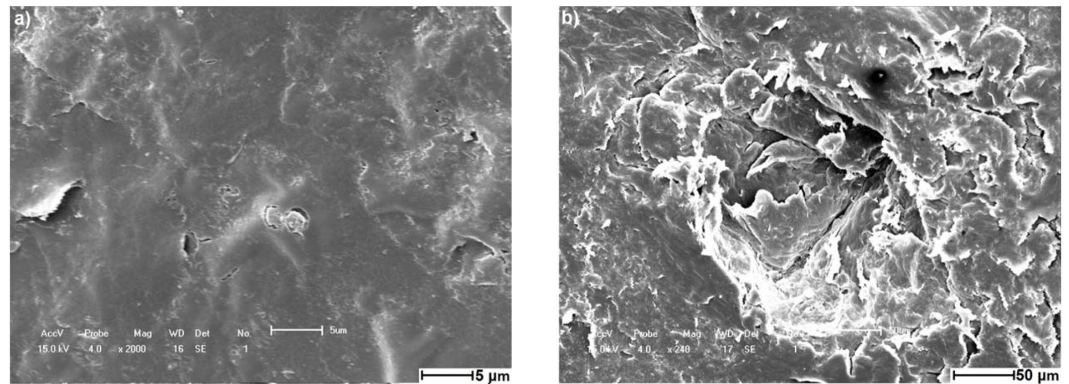 Figure 19. Scanning electron microscopy of commercial XLPE insulation: Cable II (a) unaged (b) aged. 