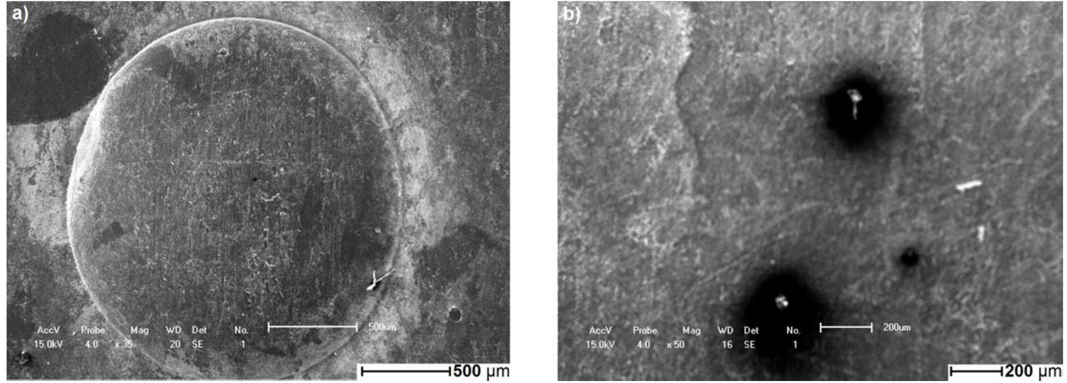 Figure 20. Scanning electron microscopy of commercial XLPE insulation: Cable III (a) unaged (b) aged. 