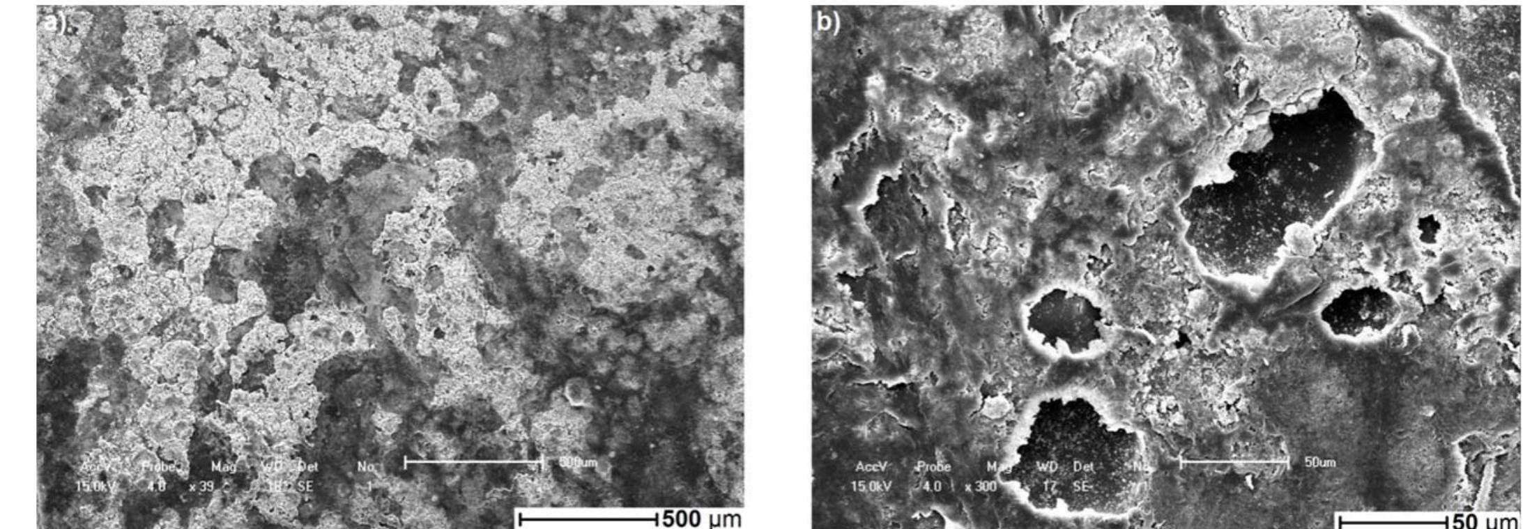 Figure 21. Scanning electron microscopy of commercial XLPE insulation: Cable IV (a) unaged (b) aged. 