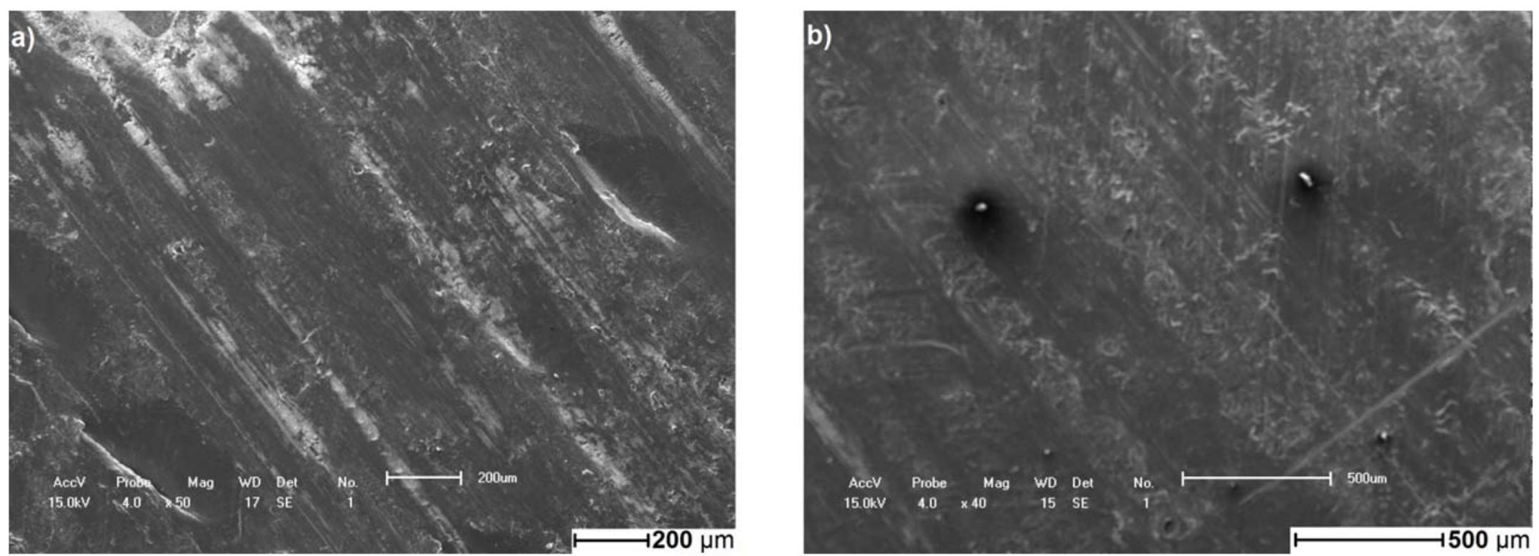 Figure 22. Scanning electron microscopy of commercial XLPE insulation: Cable V (a) unaged (b) aged. 