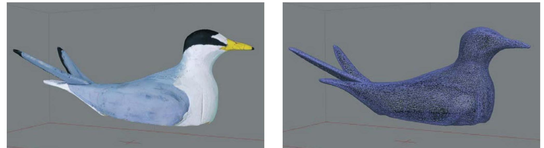 Plover Figure (PDF) Restoration of the Guardian Species as a Strategy for Kentish ...