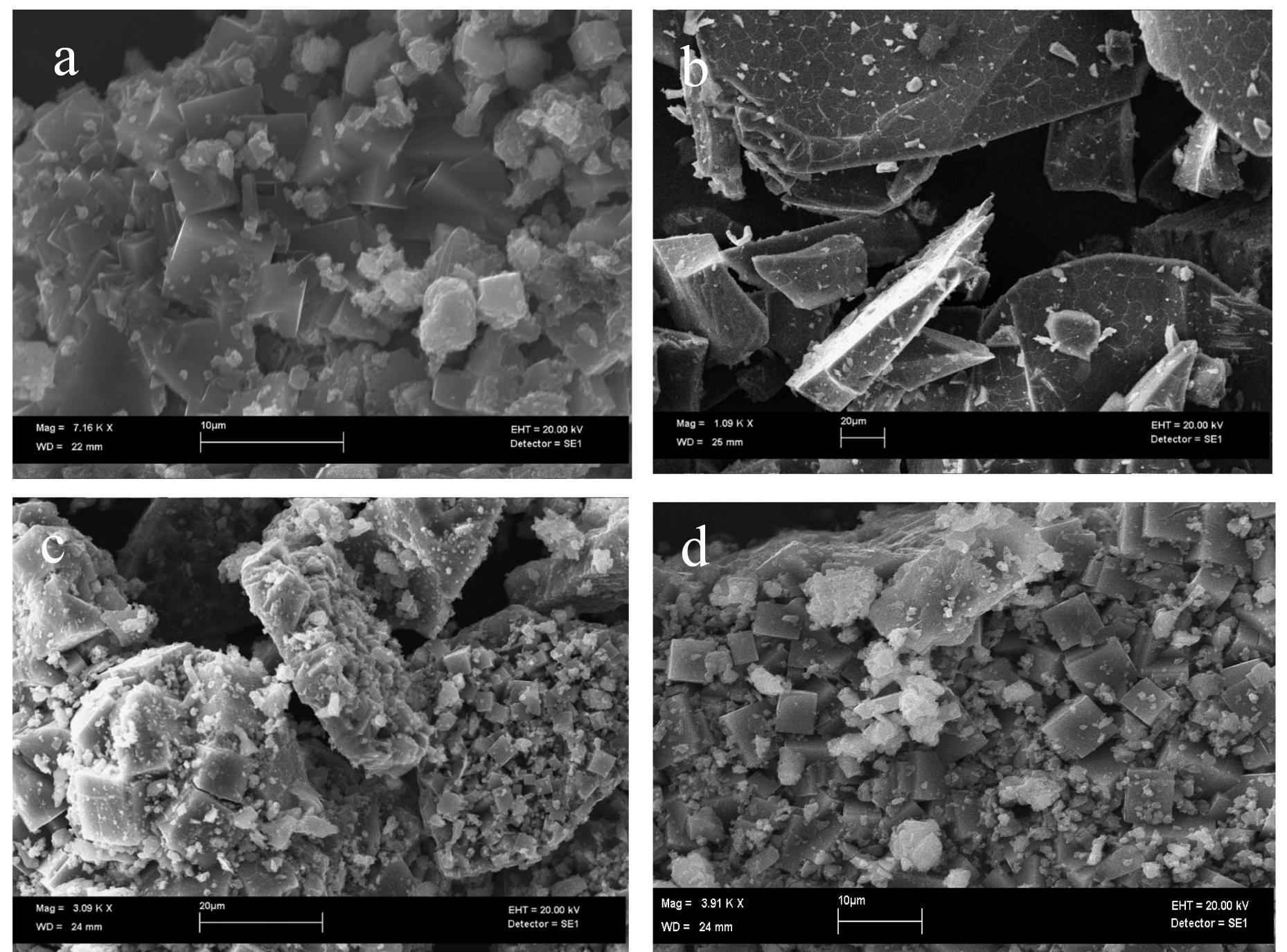 (PDF) Facile Zeolite Synthesis from Municipal Glass and Aluminum Solid ...