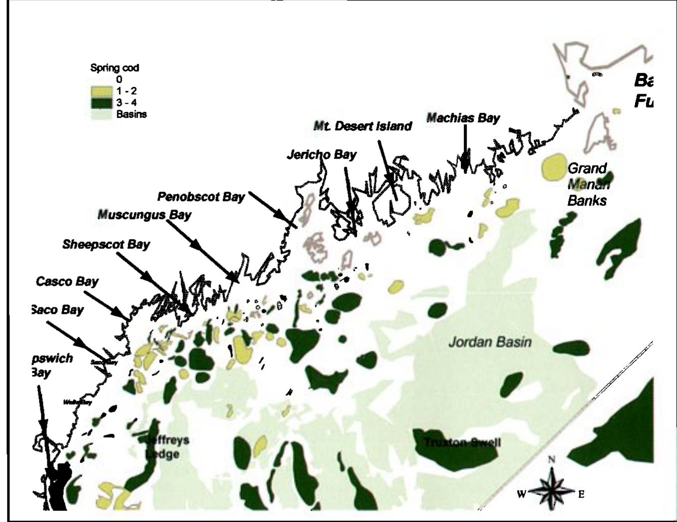 (PDF) Atlantic Cod Stock Structure in the Gulf of Maine