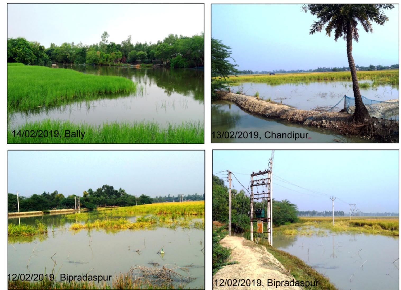 (PDF) Drainage induced waterlogging problem and its impact on farming ...