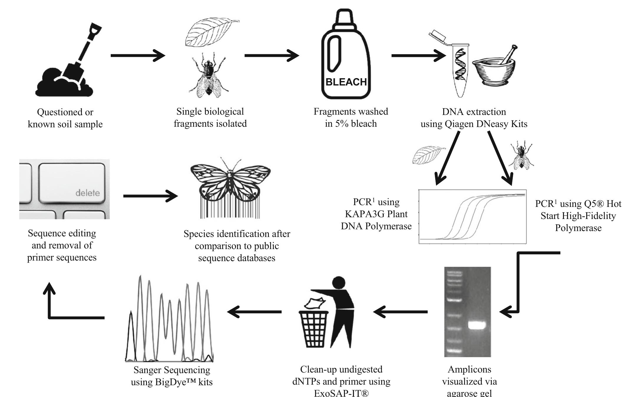 Dna barcoding protocol developed for processing biological