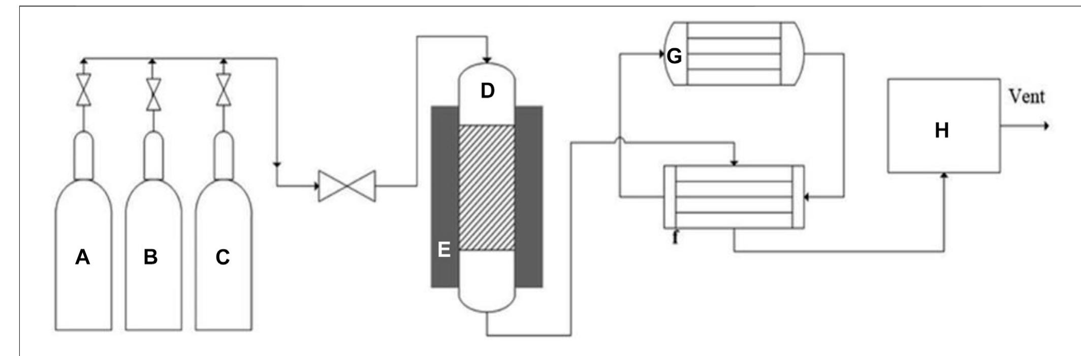 | schematic of the membrane reactor and test setup for steam