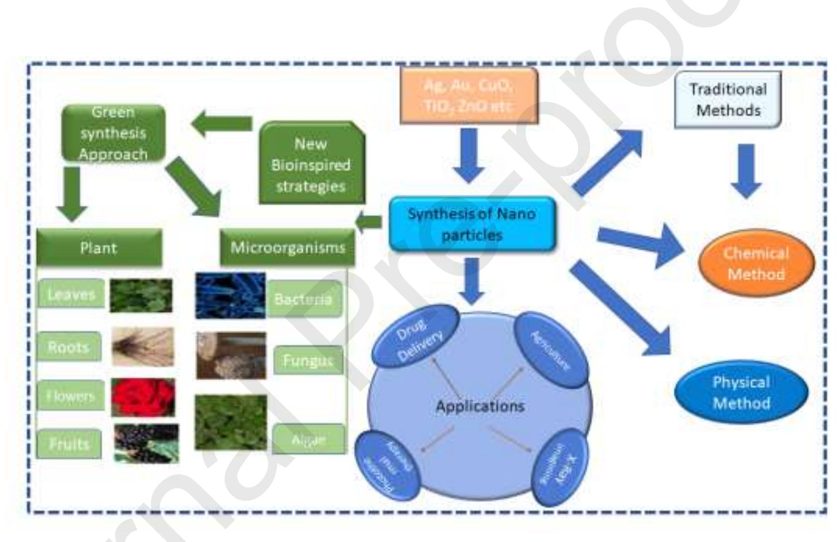 (PDF) Bioinspired and green synthesis of nanoparticles from plant ...