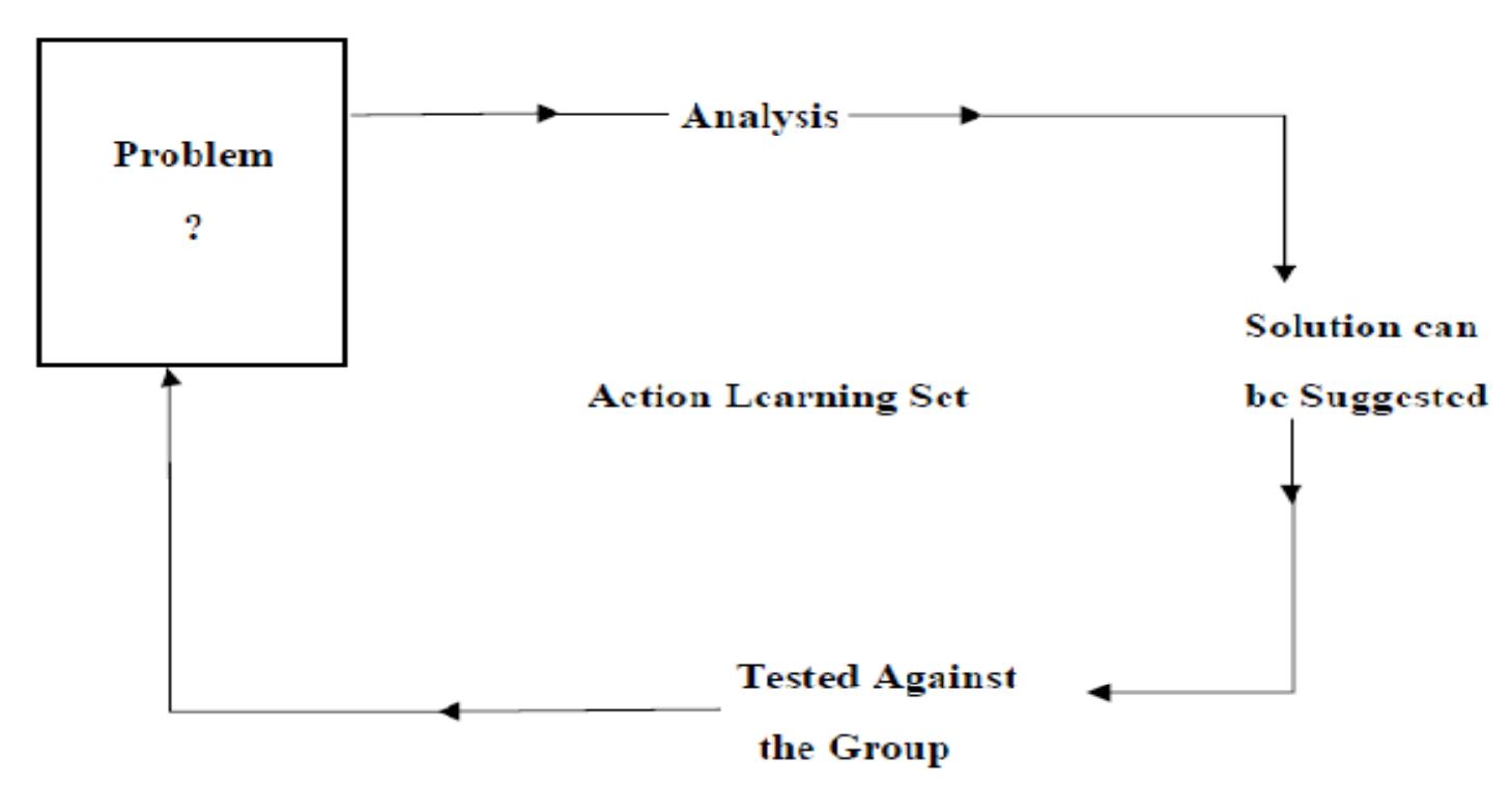 Schematic of action learning group process model