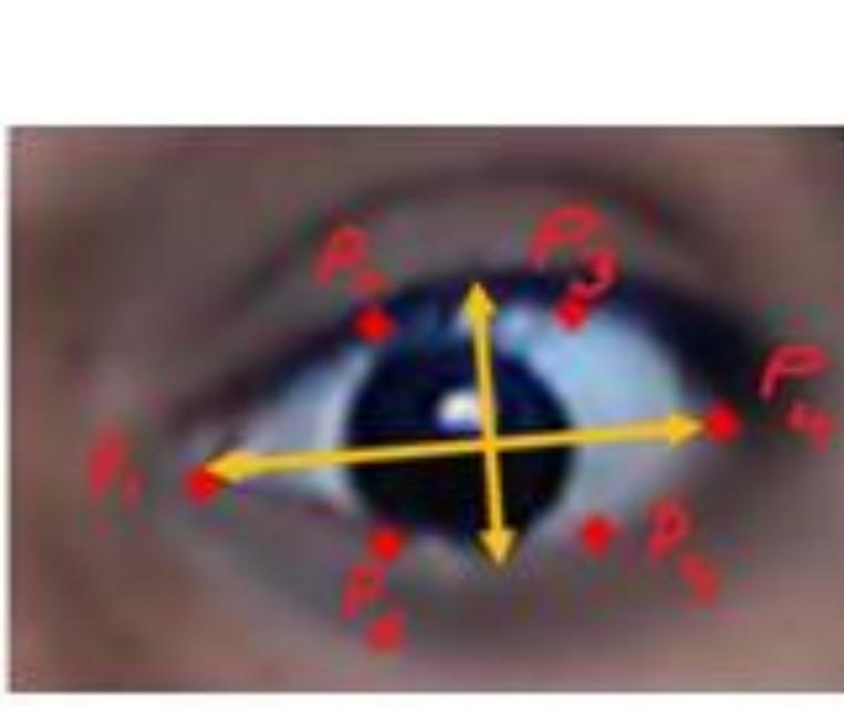 (PDF) Morse Code Detection Using Eye Blinks