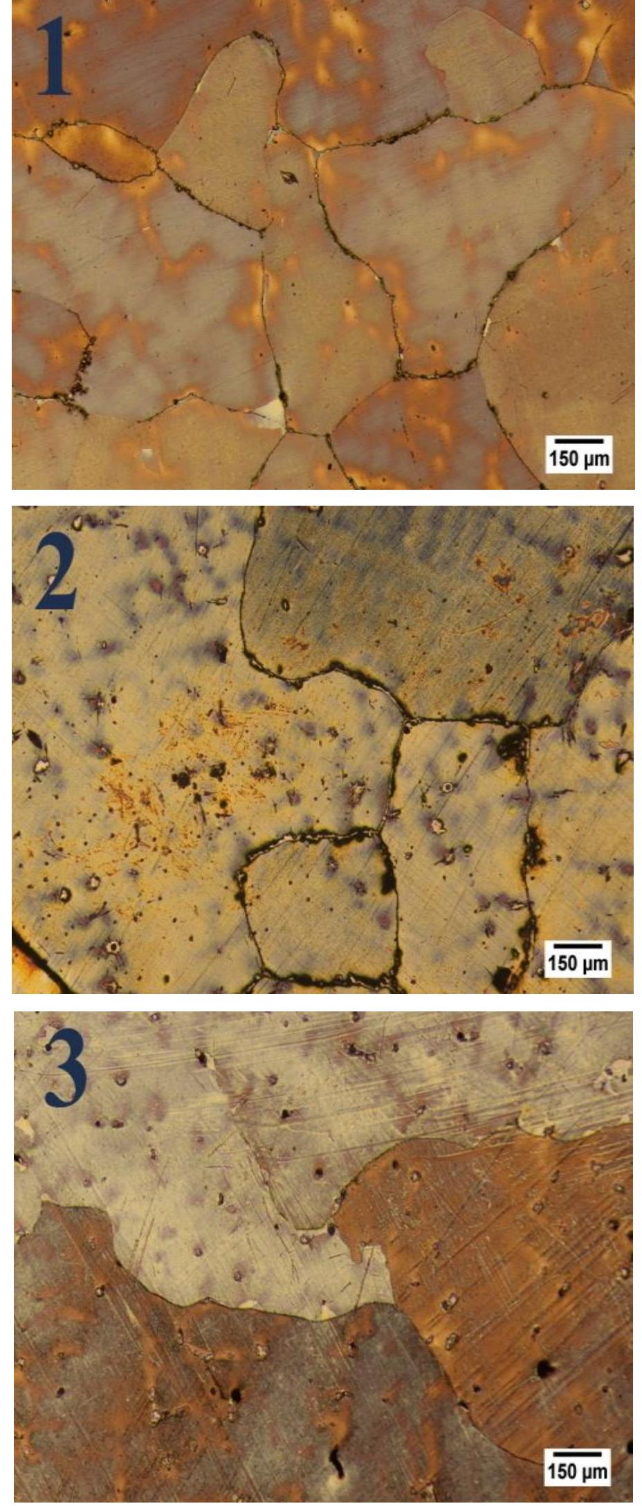 Microstructure of the as-cast samples with 100x