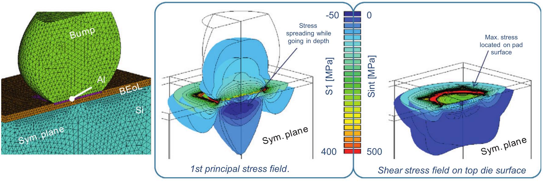 General views of stress figures: cross section of the half