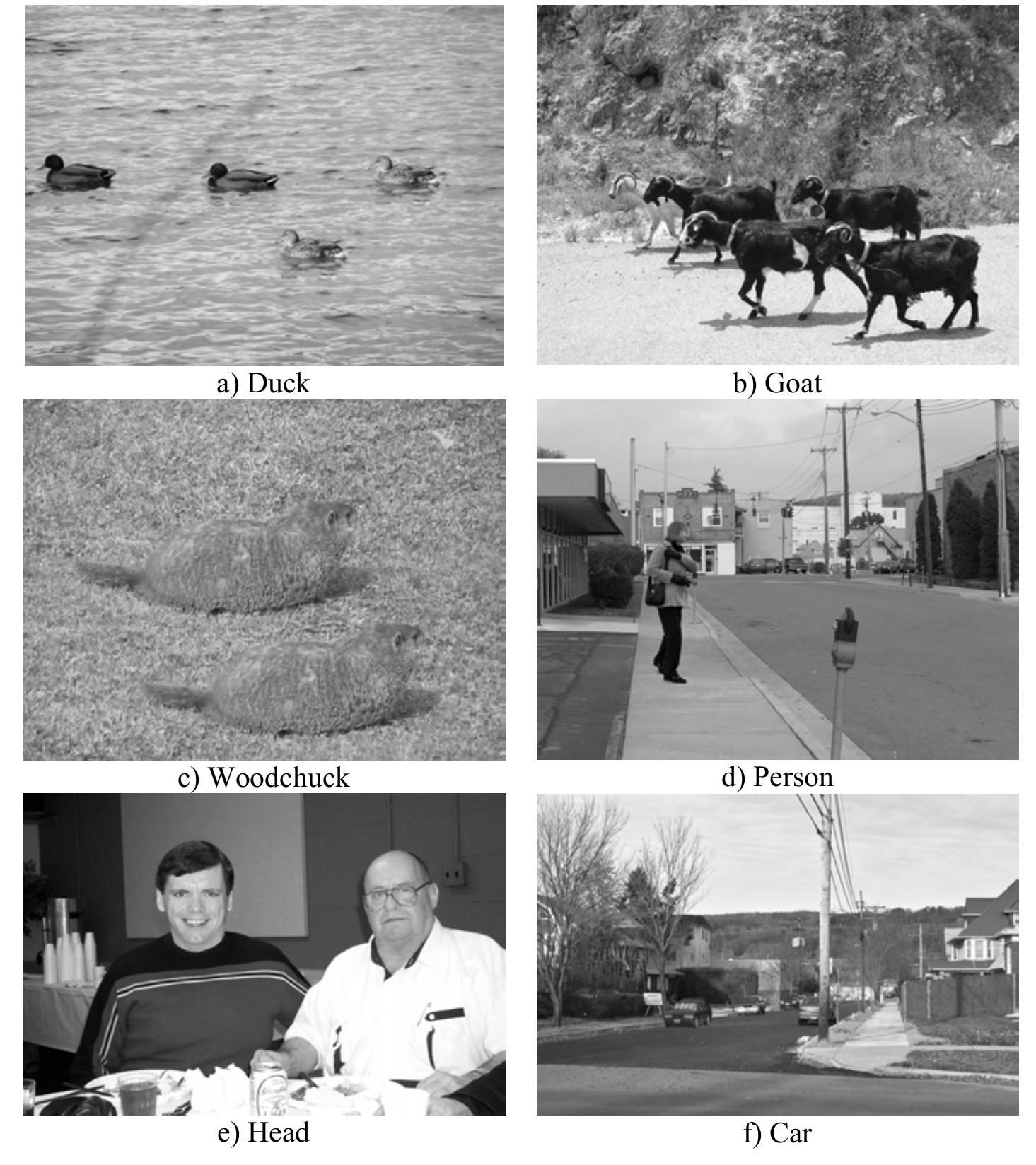 (PDF) Detecting digital image forgeries using sensor pattern noise