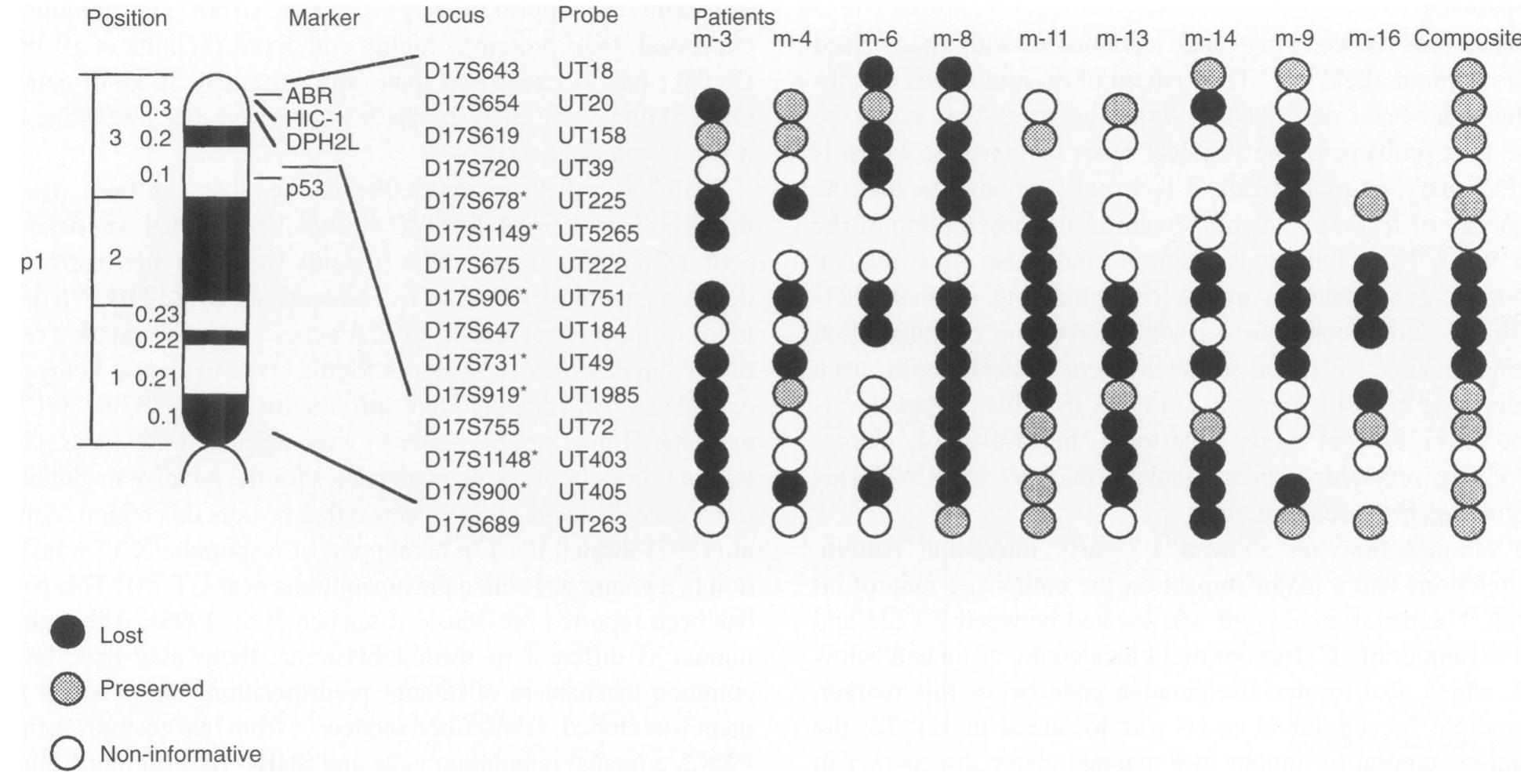 Figure 2 PCR analysis of 18 medulloblastoma tumour specimens using 15 microsatellites on chromosome 17p. The results of the analysis for those tumours displaying 17p deletions are summarized. The order of the microsatellites follows previously published sequences in GenBank and in *Gerken et al (1995)  The statistical analysis for Kaplan-Meier plot was performed with the program SPSS for windows 7.0. 