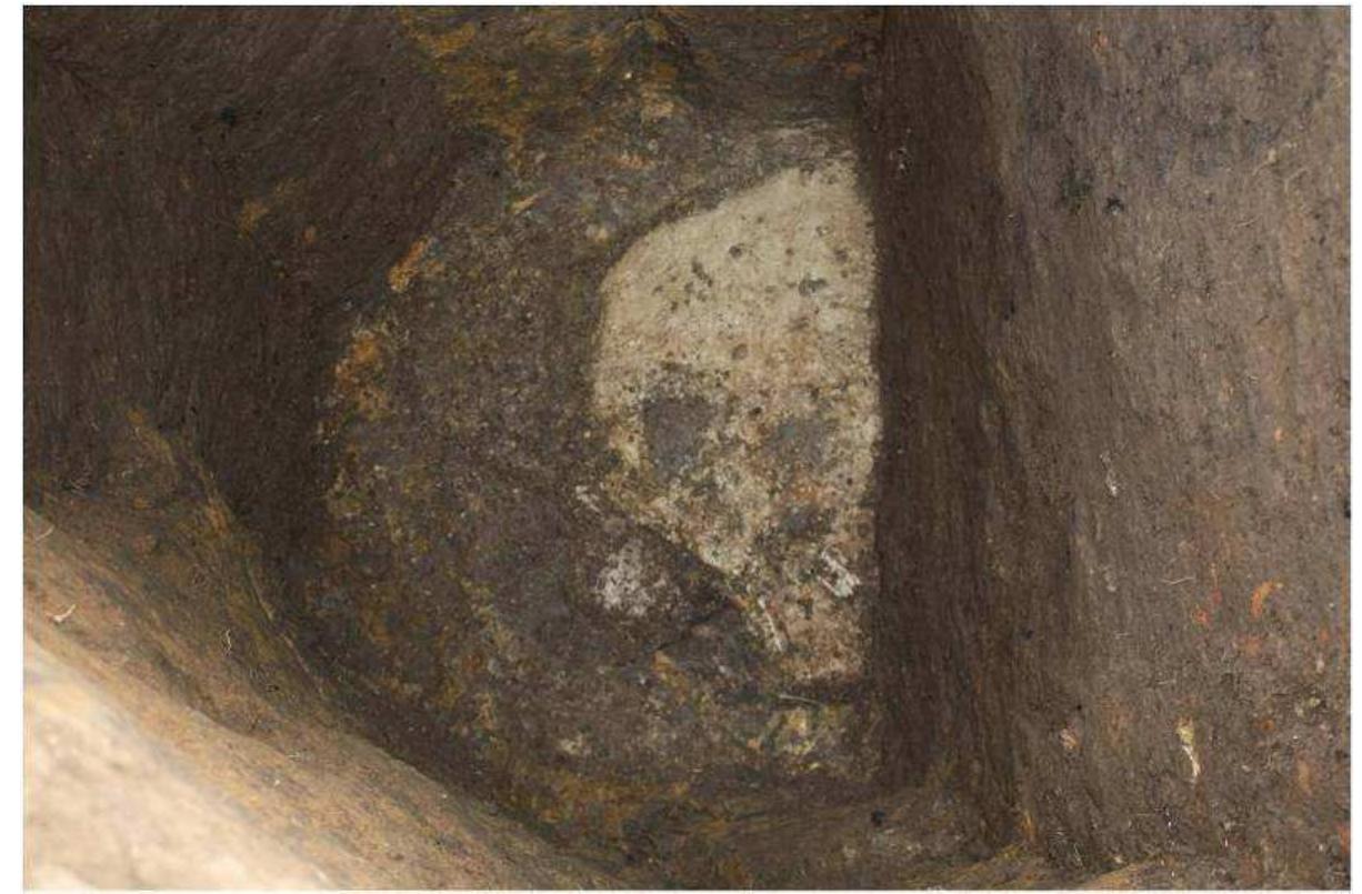 Rounded base of the cross sectioned feature 233.