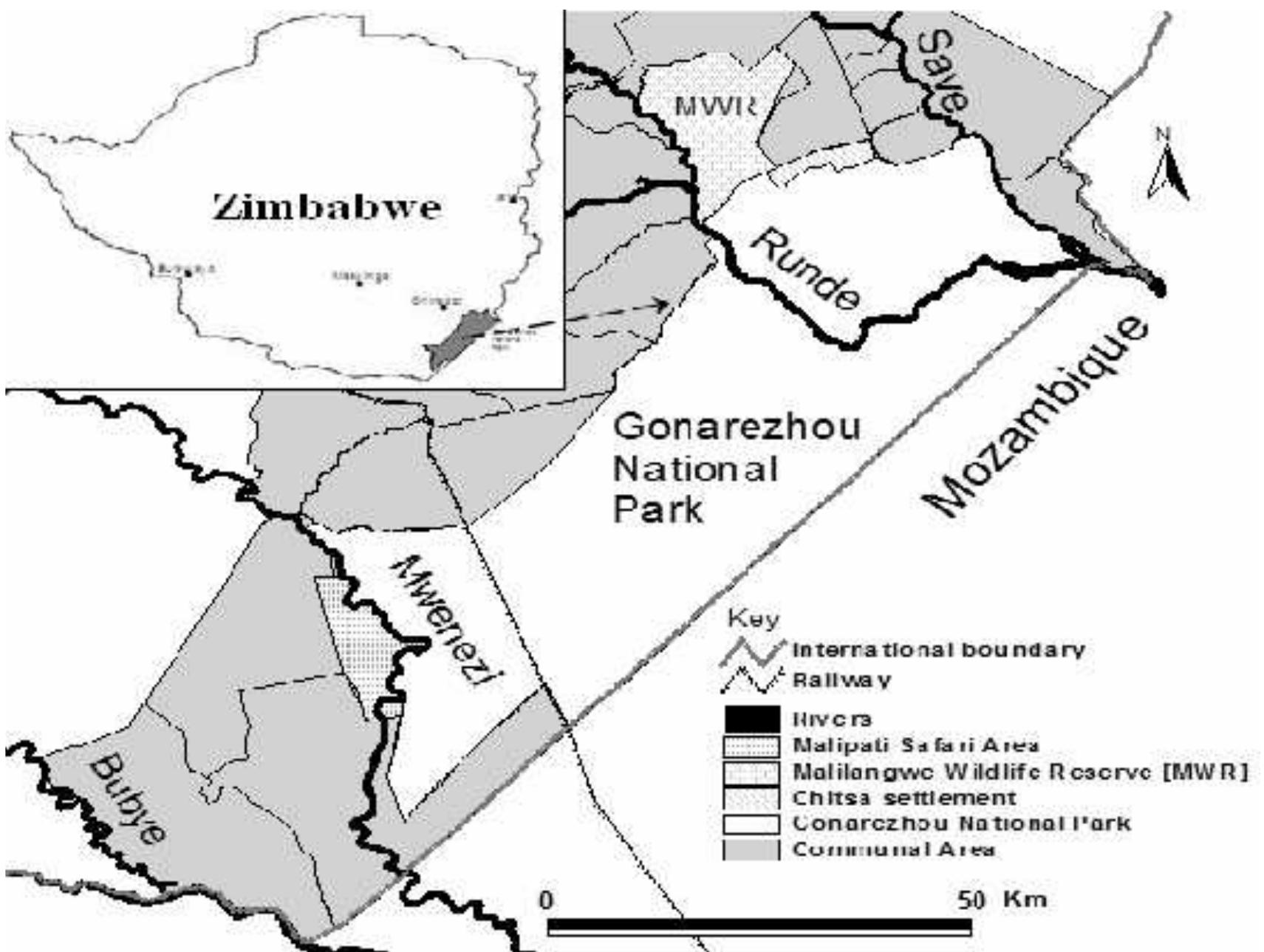 (PDF) Vigilance behavior and population density of common large ...