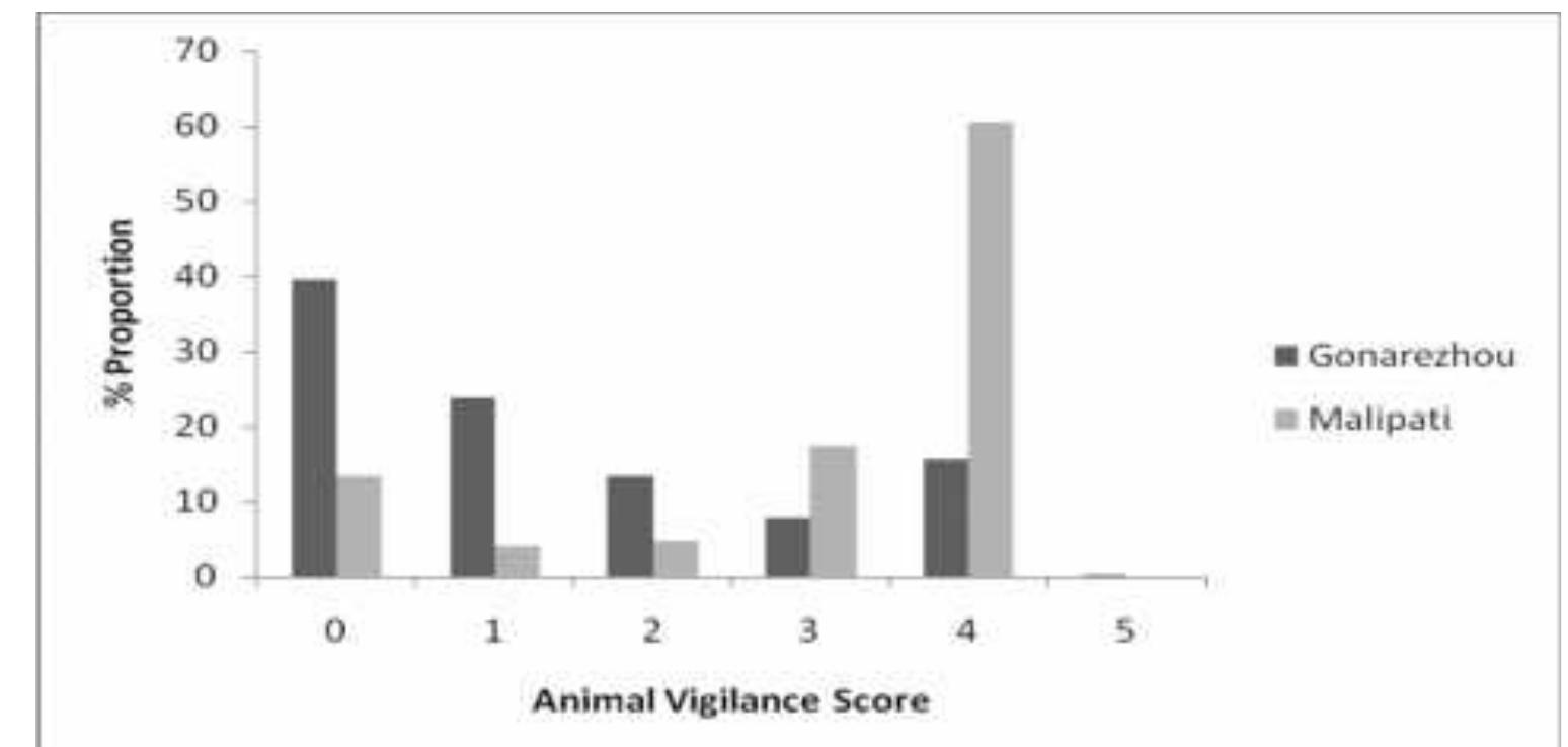 (PDF) Vigilance behavior and population density of common large ...