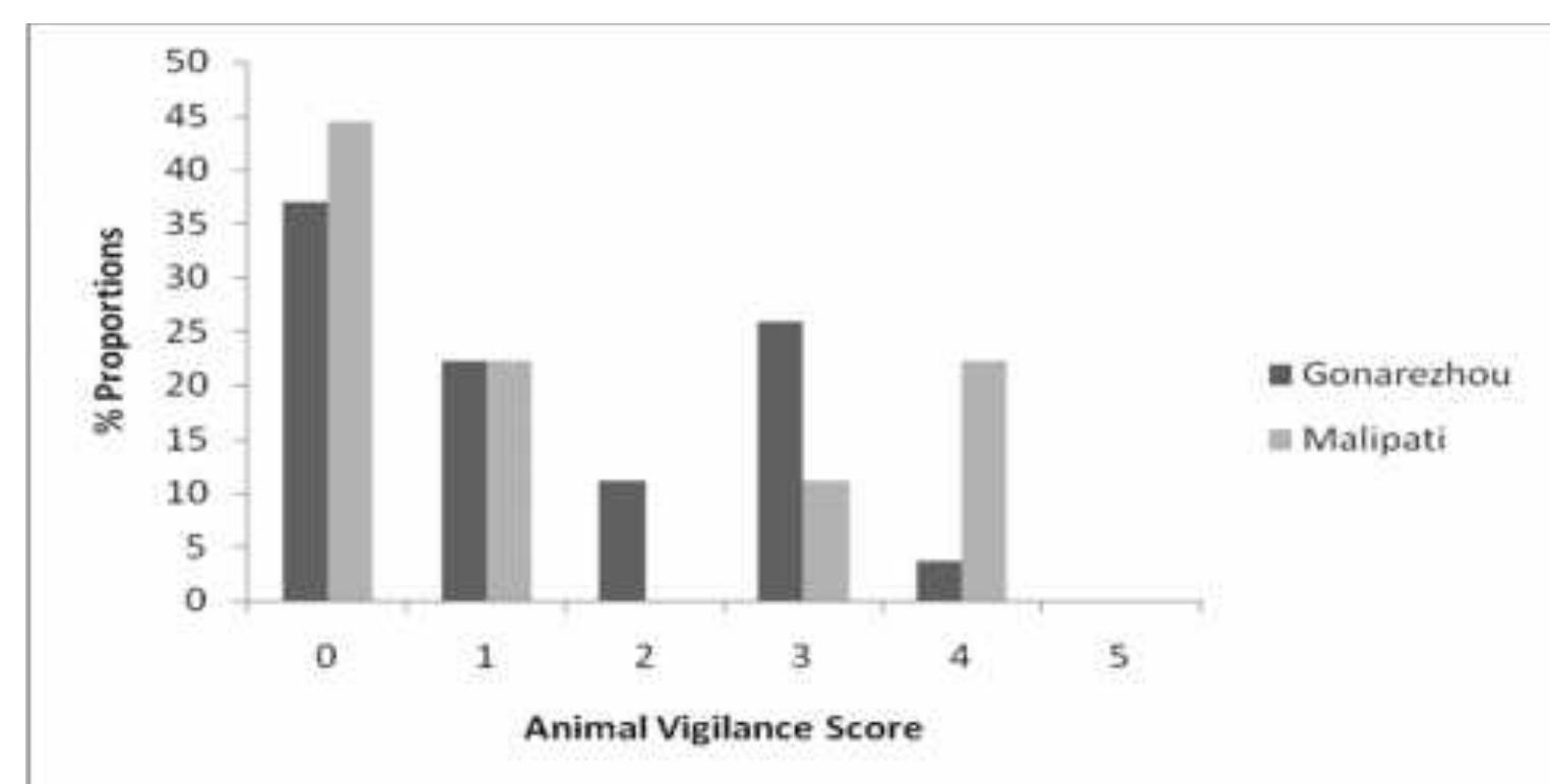(PDF) Vigilance behavior and population density of common large ...