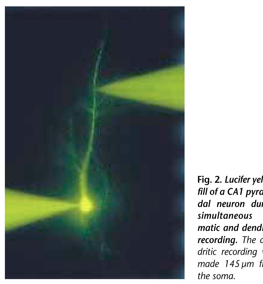 Figure 4 - from Action potential initiation and