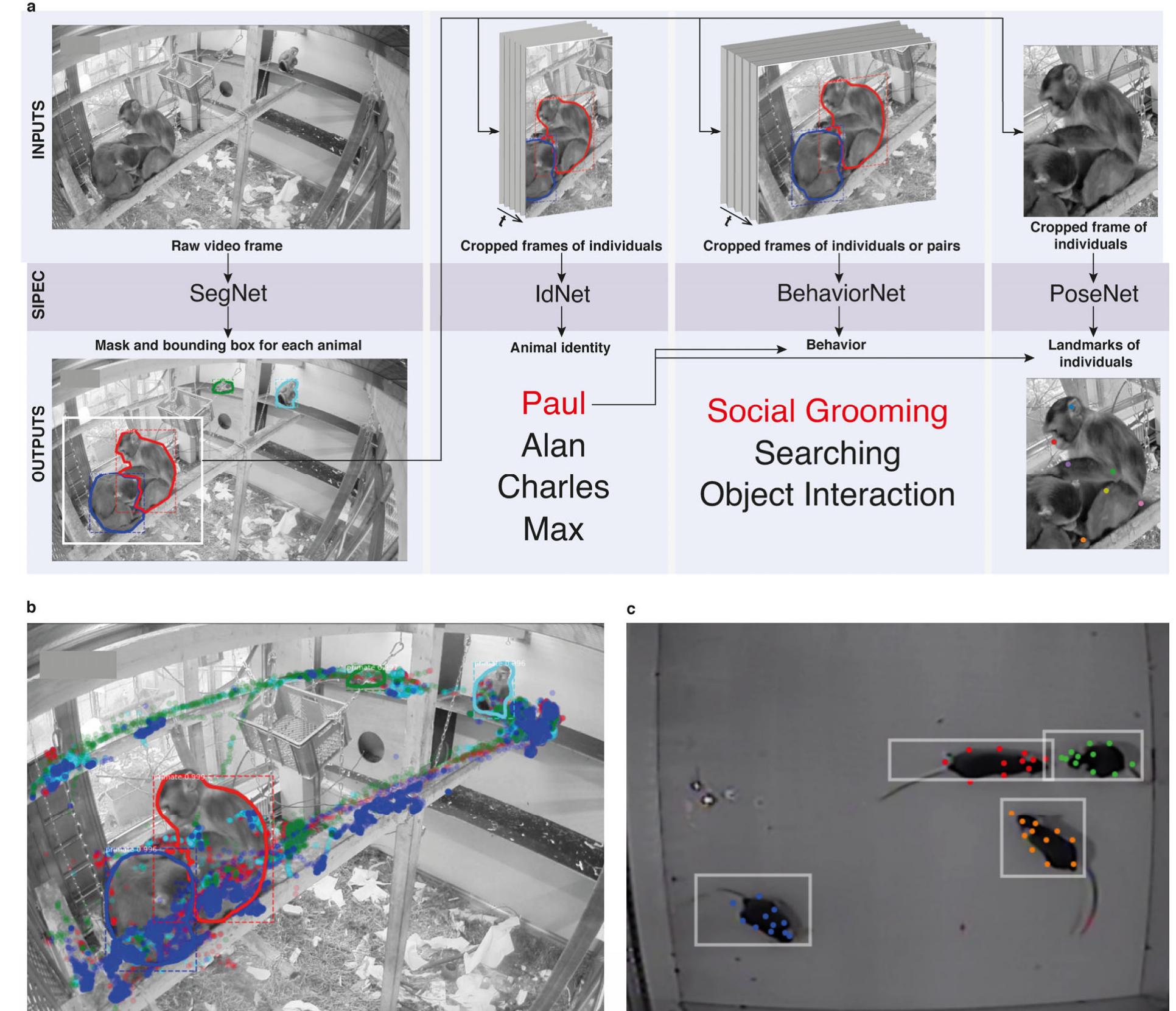 (PDF) Deep-learning based identification, tracking, pose estimation ...