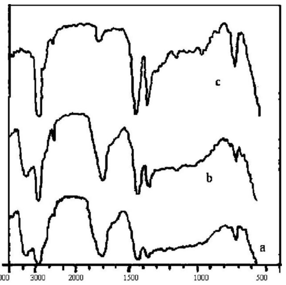 Ir spectra of (a) pvc + 5 eva; (b) pvc + 10 eva; and (c)