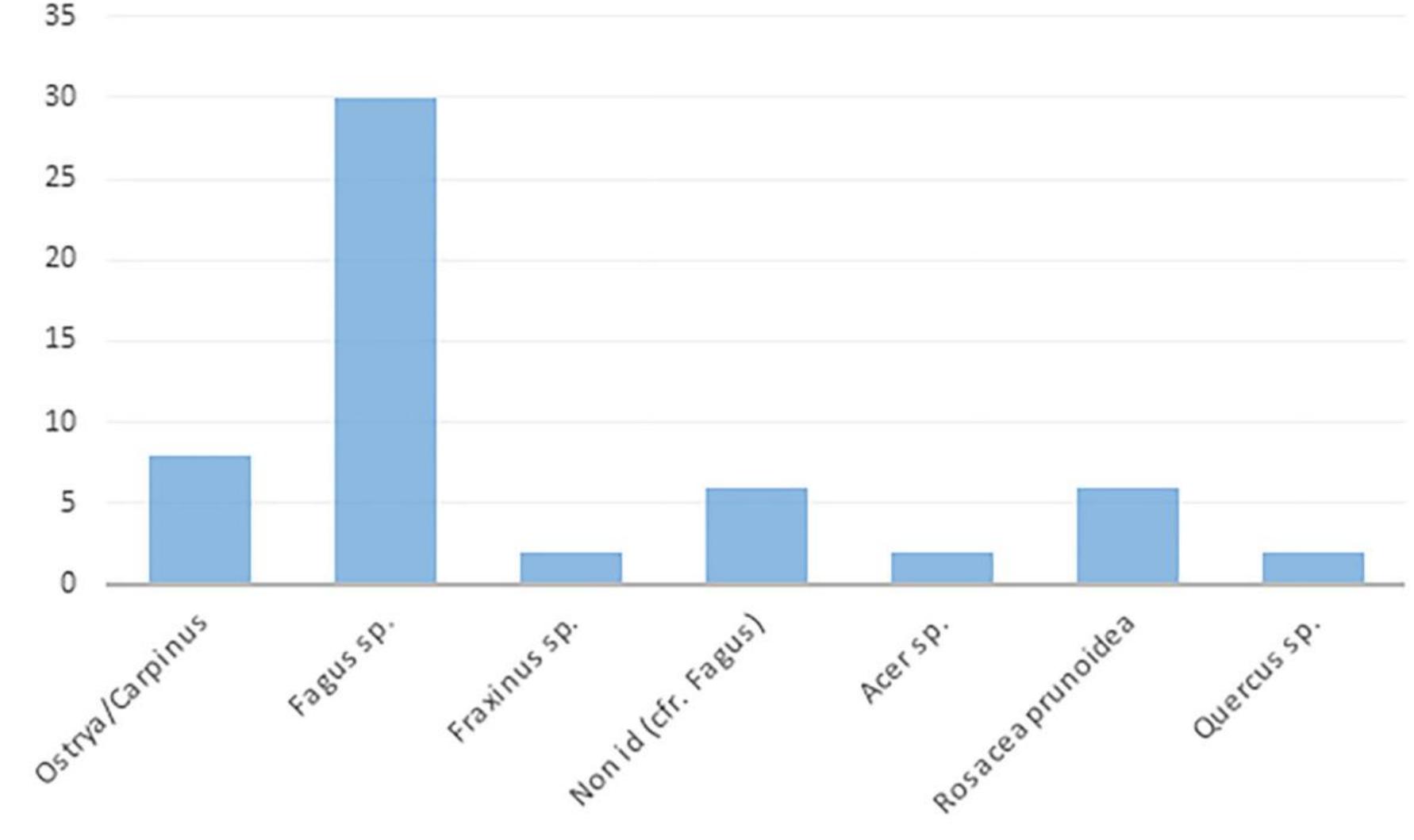 Fig. 17. VPP 2018-2019, Trench IIS-W: Taxa identified in paleobotanic samples collected from Phases 2a and 2b deposits. (Author: C. Comegna).  M. Mogetta — I. Battiloro — I. Varriale — D. P. Diffendale — G. Iacomelli —- M. D’Acri — C. Corbino — C. Comegna — G. Pardini e Archaeolog: Research at the Sanctuary of Venus in Pompeii: Interim Report of the 2018-2019 Seasons of the Venus Pompeiana Project 