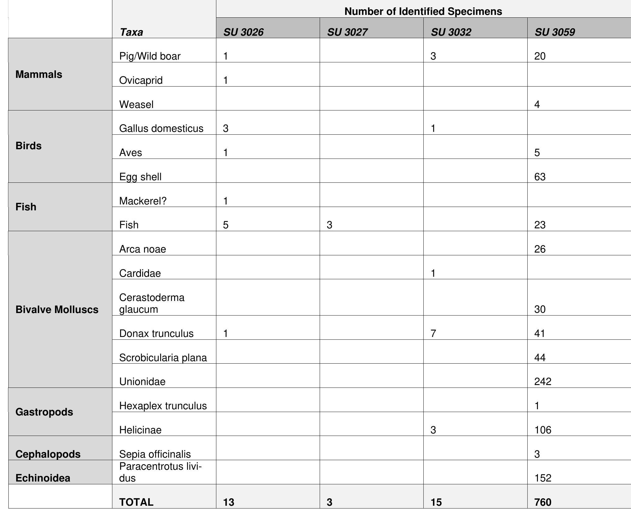Table 4. VPP 2019, Trench Il SW. Phase 2a-b: Archaeozoological remains from the fills of the cistern in Room B.  The most remarkable feature of the assemblage is the high frequency of mollusks (both freshwater and marine taxa are represented) and sea urchin, indicative of ancient food waste. An unusual small mammal spe- cies, the weasel, is also represented (another individual is reported for 3060). Large quantities of fish bones, scales, and sea urchin shells were also found in the upper levels of the cistern fills (3051, 3052, 3054, 3055, 