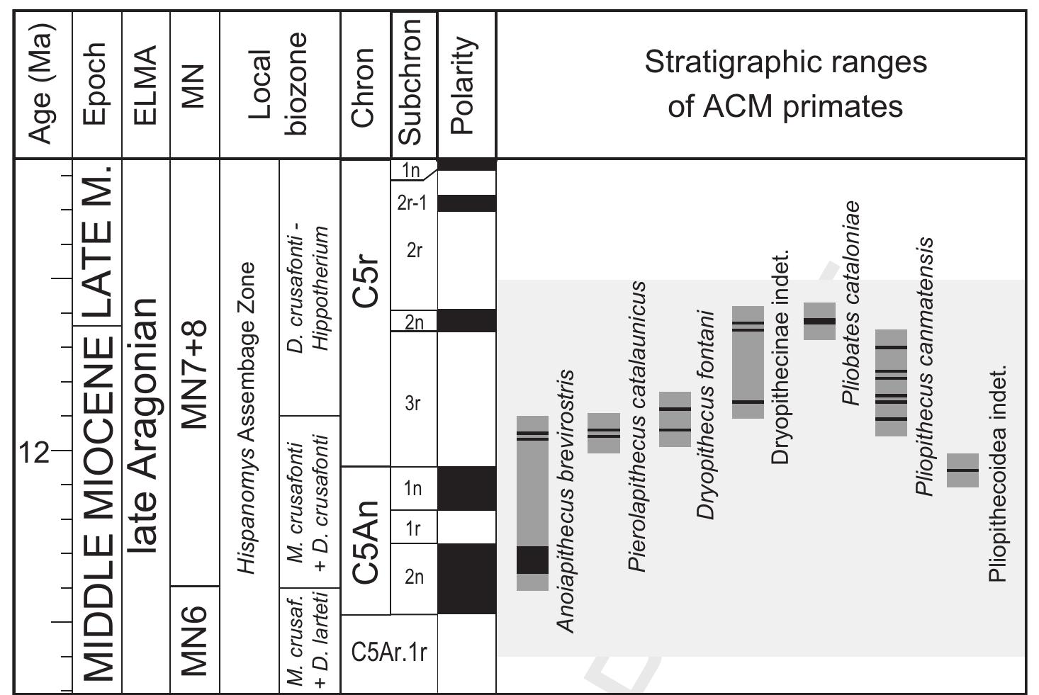 Primate Ranging Approximate stratigraphic ranges of the various primate taxa