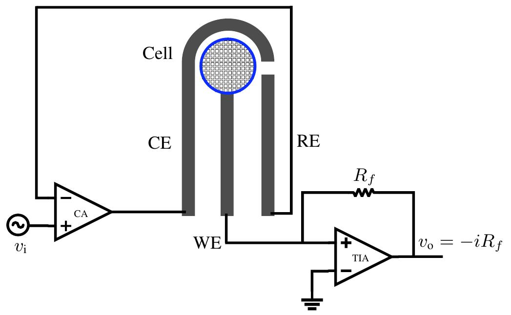 Schematic diagram of the potentiostat circuit used for eis