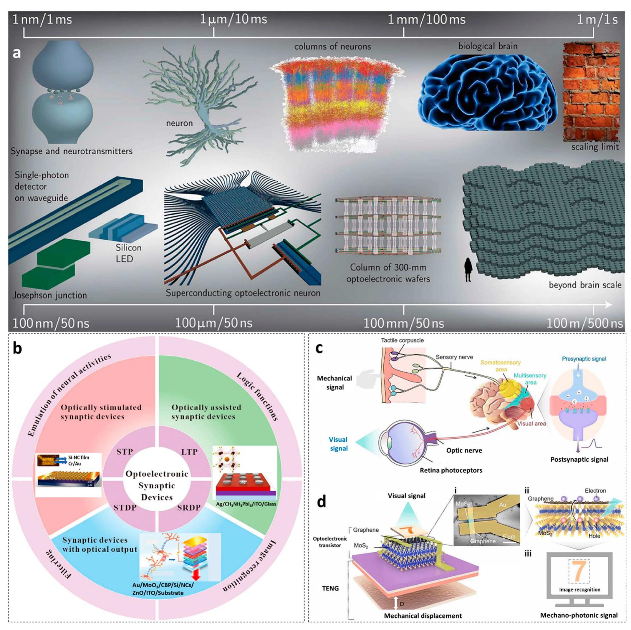 ひゃくえむ。 Vol.1-3 セット PDF) 2D Heterostructures for Ubiquitous Electronics and