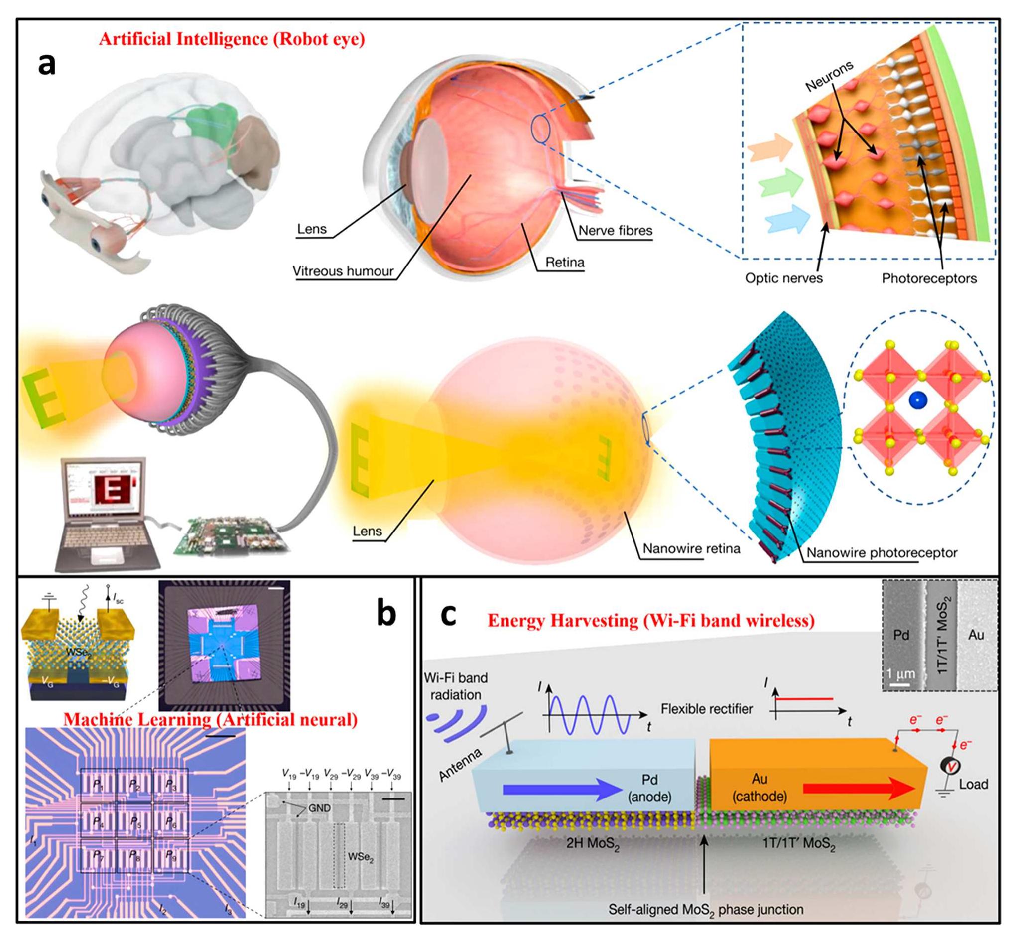 (PDF) 2D Heterostructures for Ubiquitous Electronics and ...