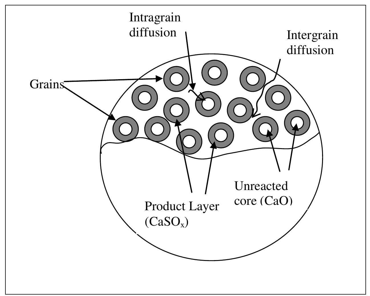 3: schematic representation of the grain model