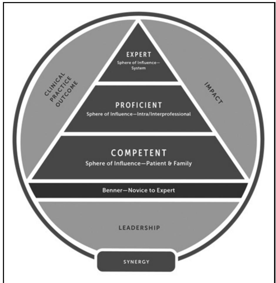 (PDF) Competency-based Professional Advancement Model for Advanced ...