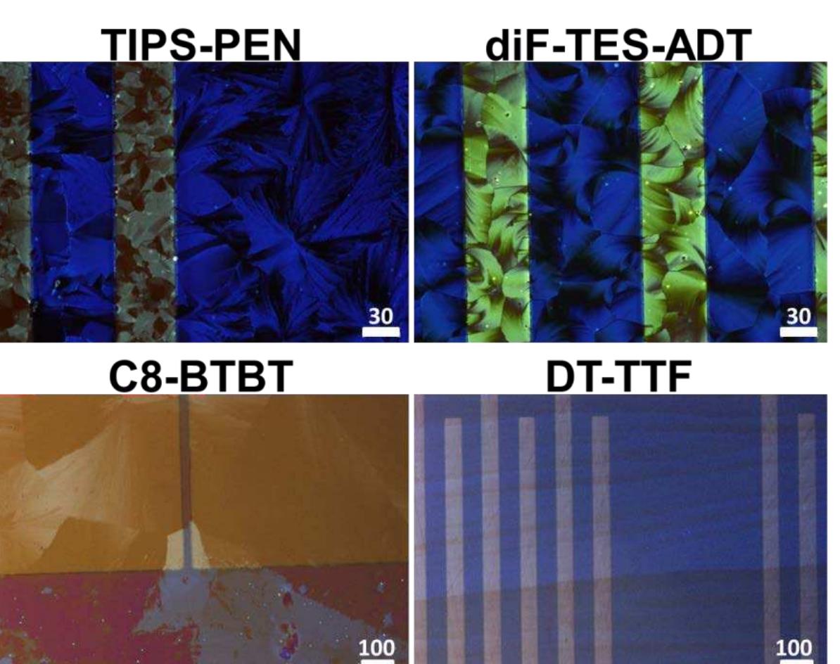 Optical polarized microscopy images of tips-pen,