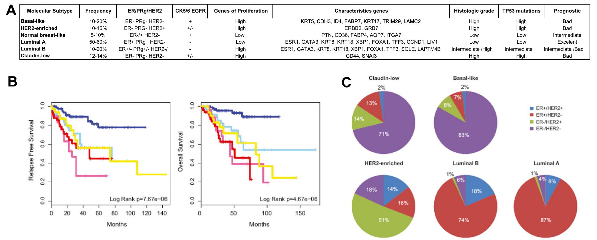 (PDF) Molecular biology in breast cancer: Intrinsic subtypes and ...