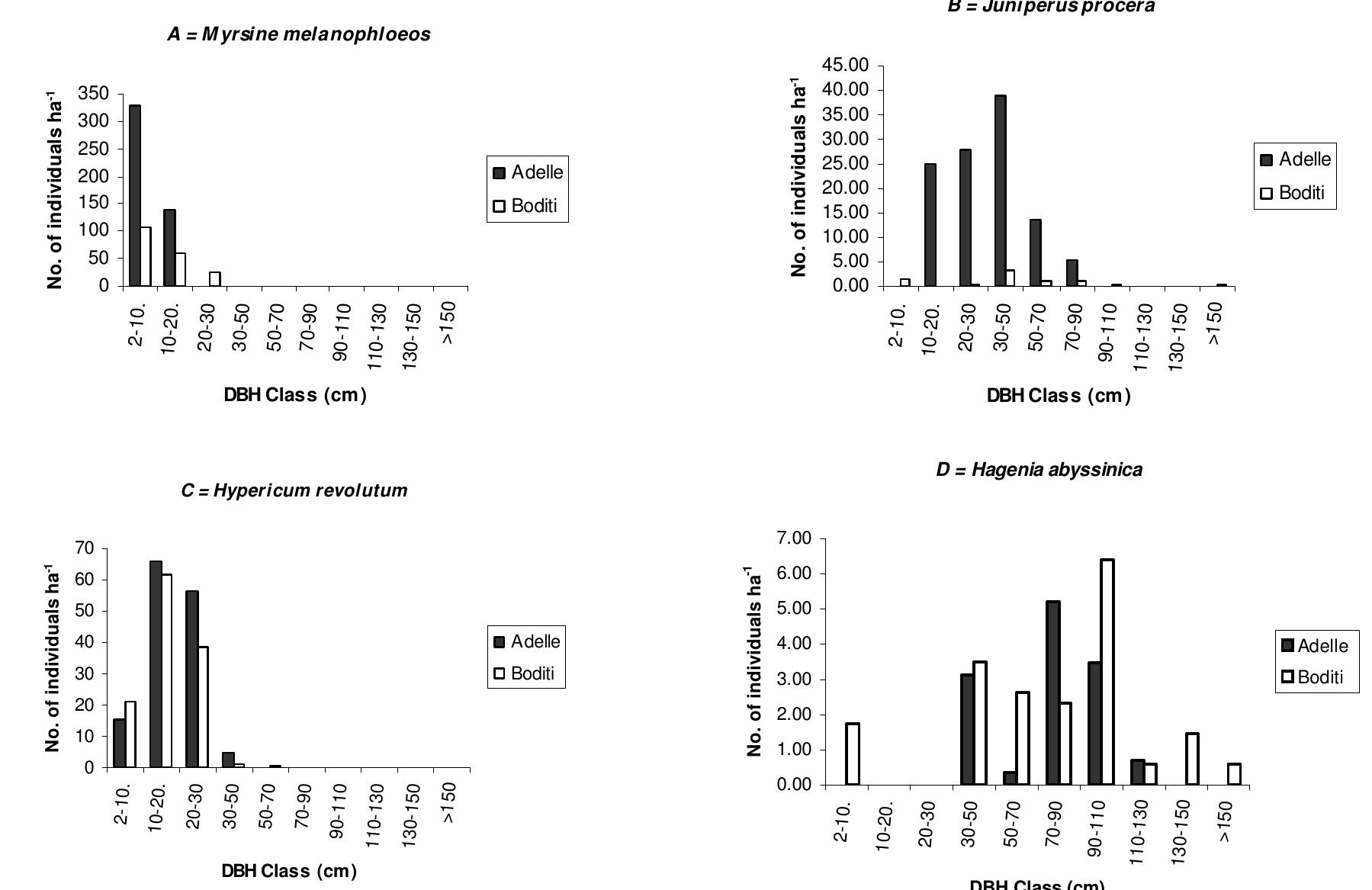 Dbh Pattern (PDF) Floristic composition and structure of the dry Afromontane forest ...