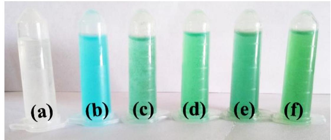 (PDF) Dehydroacetic acid derived Schiff base as selective and sensitive ...