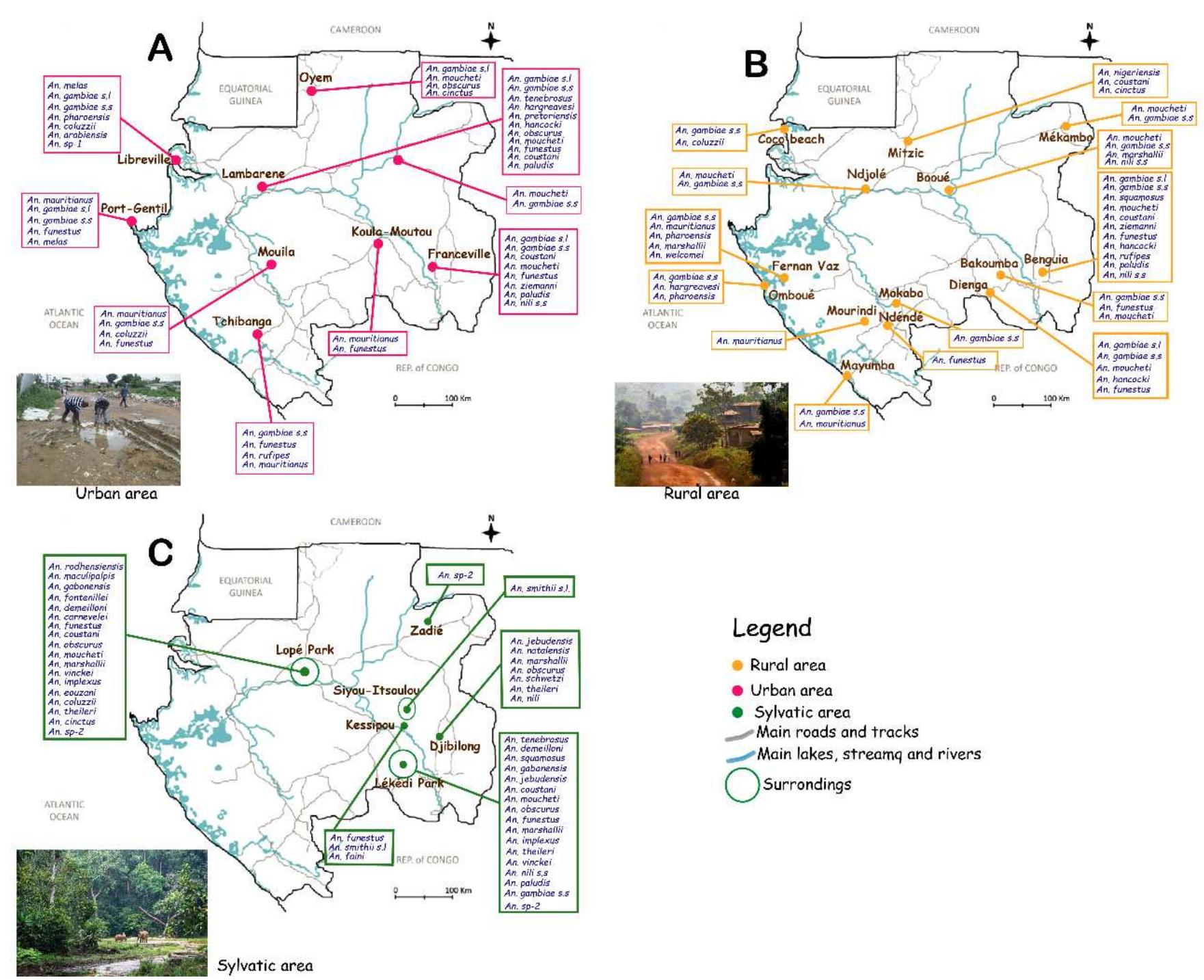 (PDF) Systematic Review on Diversity and Distribution of Anopheles ...