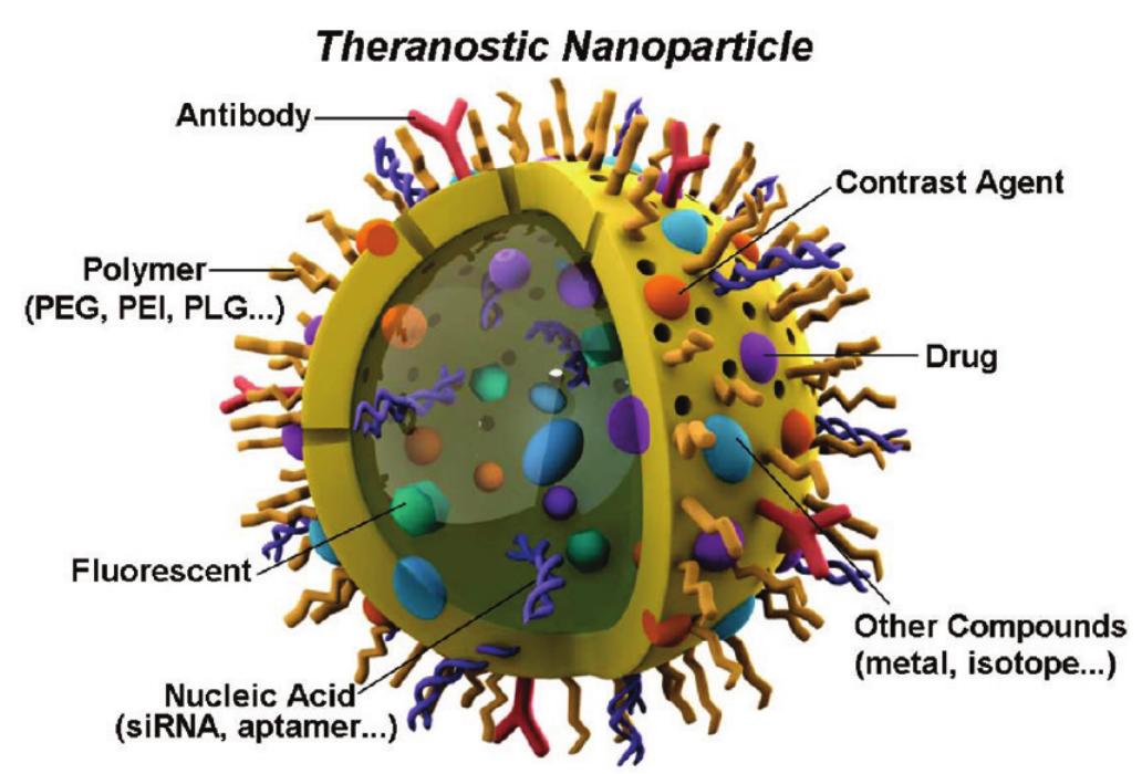 (PDF) Theranostic Nanoparticles Engineered for Clinic and Pharmaceutics