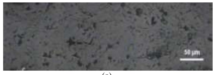 (a) micrograph of a 9.4%. (b) micrograph of a 24.8%