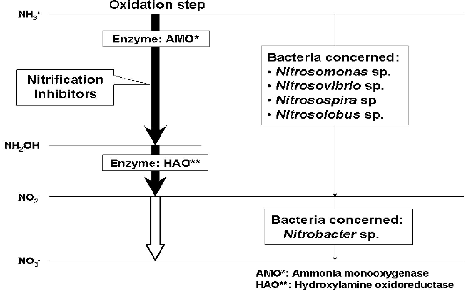 (PDF) Environmental Review: The Potential of Nitrification Inhibitors ...