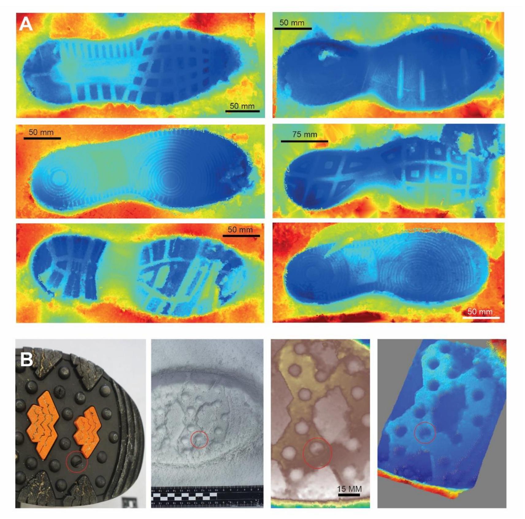 (PDF) Technological innovation in the recovery and analysis of 3D ...