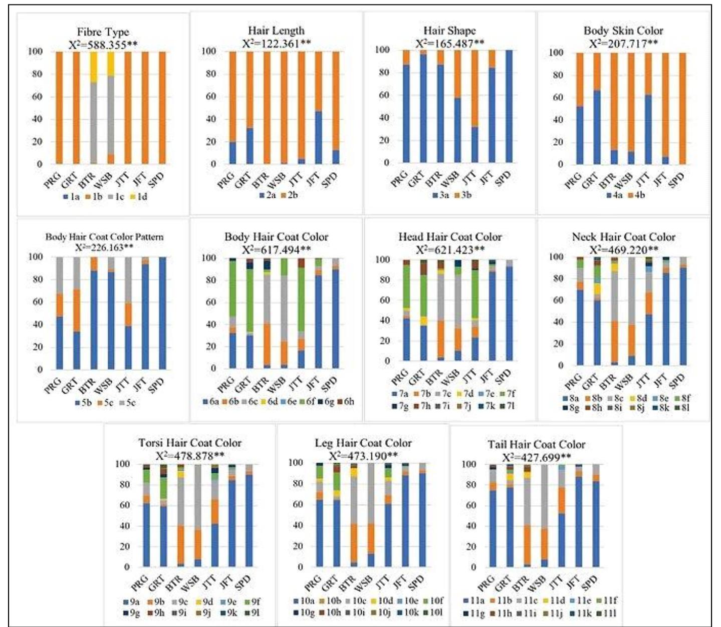 (PDF) Qualitative Morphological Characterization of Male Indonesian ...