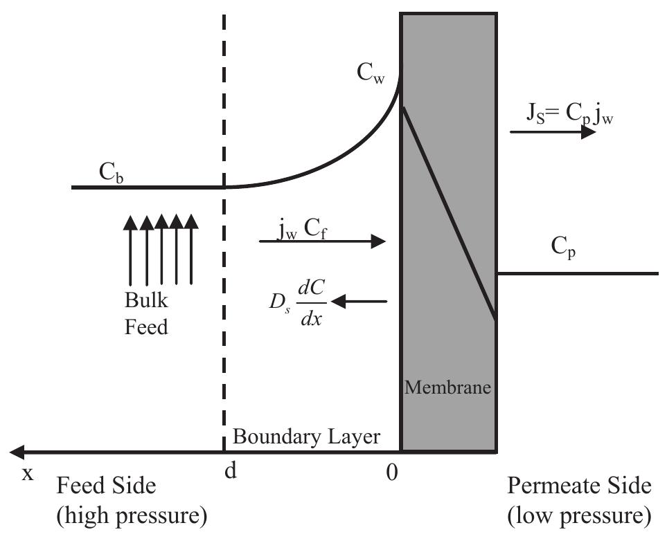 Shell Contraction Schematic representation of the concentration profile in the