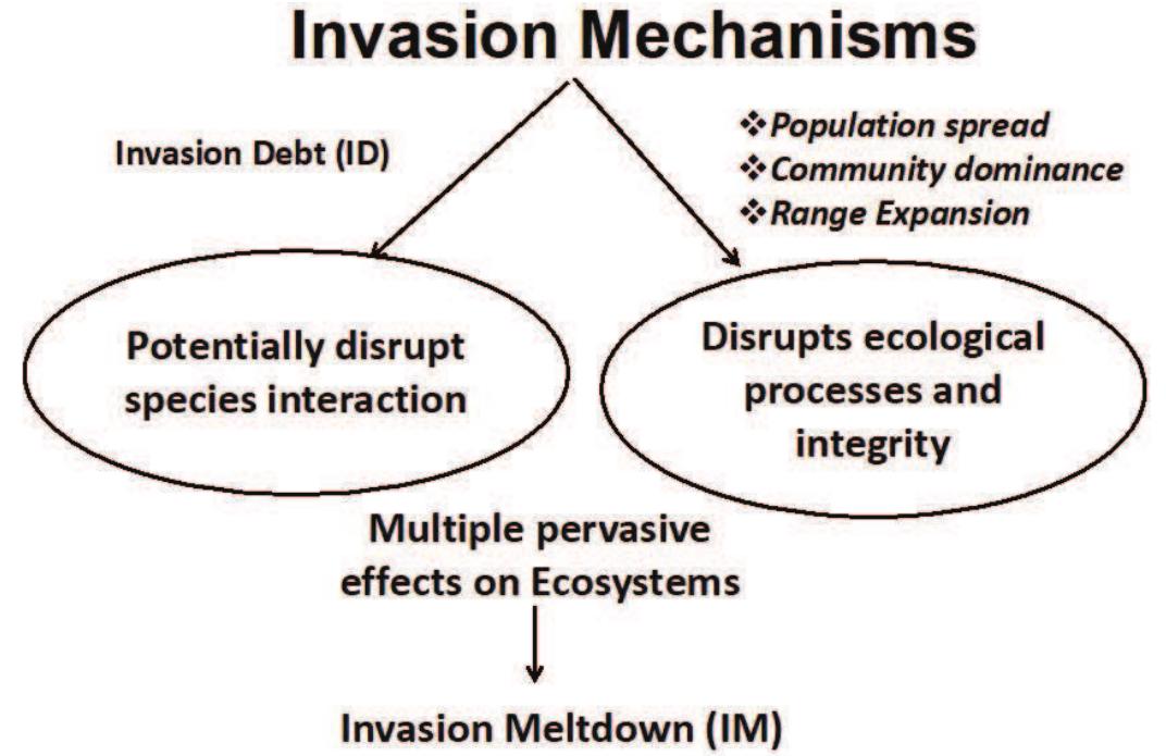 (PDF) State of aquatic invasive species in tropical India: An overview